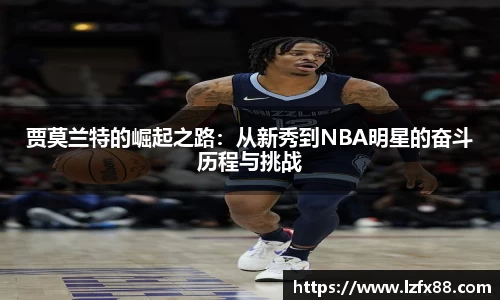 星空体育网站入口
