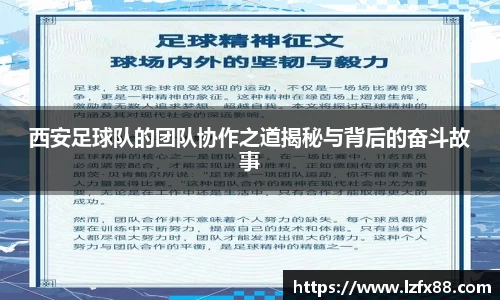 星空体育(中国)官方网站