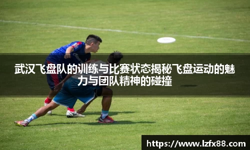 星空体育(中国)官方网站